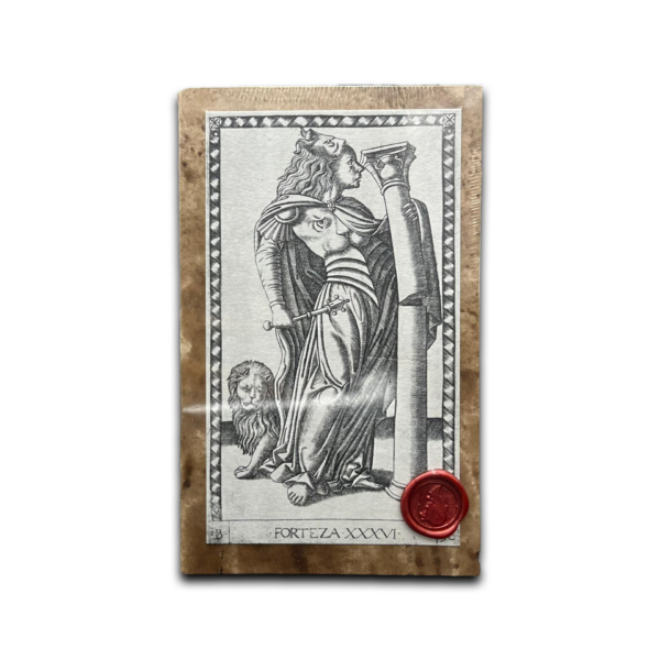 Tarocchi del Mantegna (con libro in italiano)