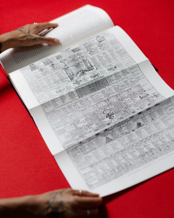 Codex Rosae Crucis - immagine 2