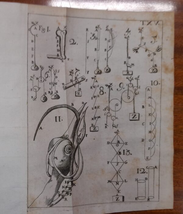 De motu animalium - Gli elementi dell'arte sfigmica o sia la dottrina del polso