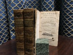 libreria rotondi trattato completo d'anatomia
